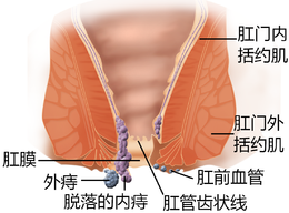 福州医博肛泰肛肠医院预约挂号